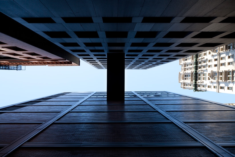 © www.marcusbuck.com