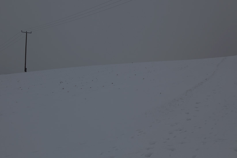 © www.marcusbuck.com