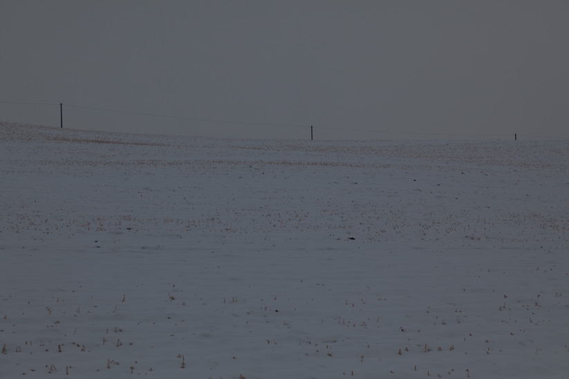 © www.marcusbuck.com